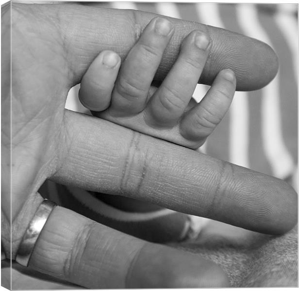 Baby's hand holding father's finger Canvas Print by Ian Middleton