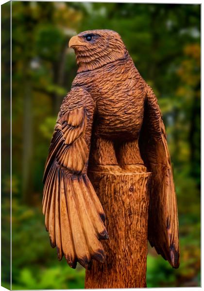 Harris Hawk Carving Canvas Print by Colin Metcalf