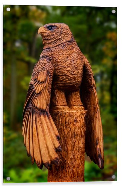 Harris Hawk Carving Acrylic by Colin Metcalf