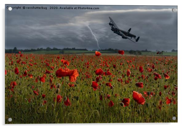 Lancaster Bomber Over A Poppy Field With Lightning Acrylic by rawshutterbug 