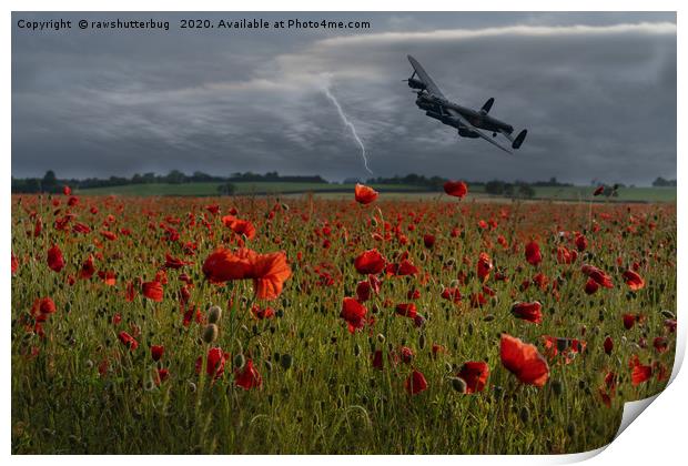 Lancaster Bomber Over A Poppy Field With Lightning Print by rawshutterbug 