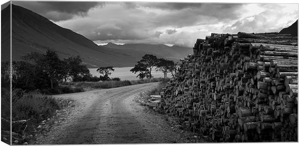 Stacked Logs Canvas Print by Keith Thorburn EFIAP/b