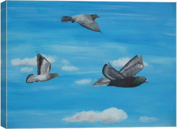 Three Pigeons Canvas Print by Steve Boston