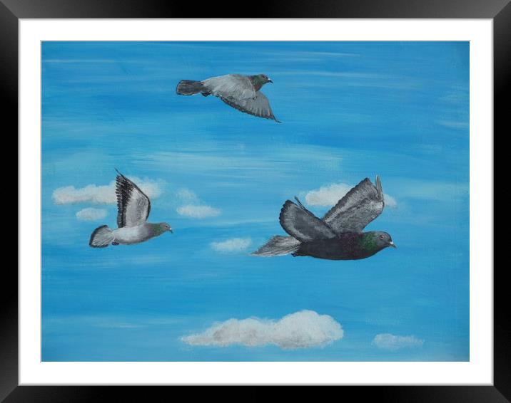 Three Pigeons Framed Mounted Print by Steve Boston