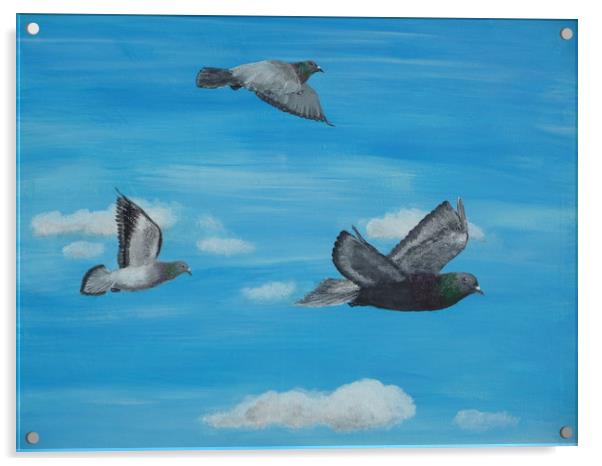 Three Pigeons Acrylic by Steve Boston