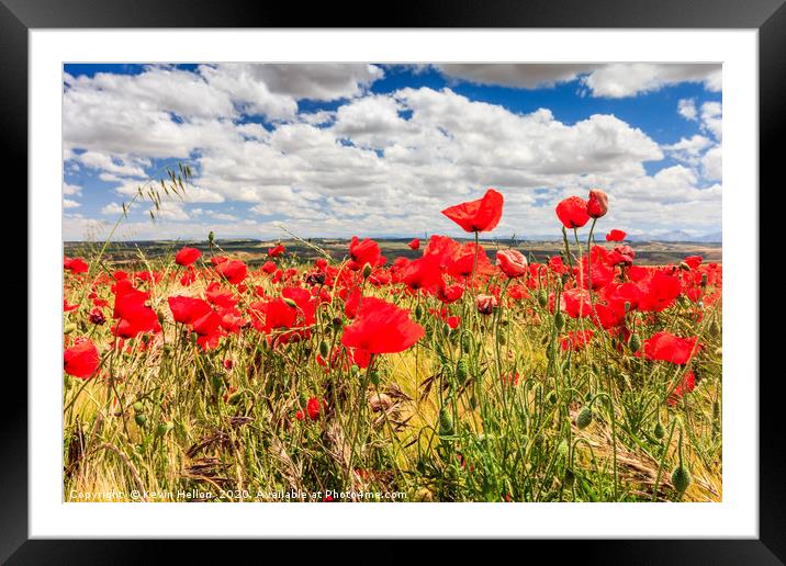 Red Poppies Dancing in the Spanish Sky Framed Mounted Print by Kevin Hellon