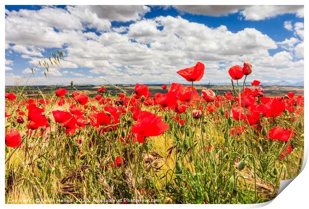 Poppy field and clouds, Granada Province, Spain Print by Kevin Hellon