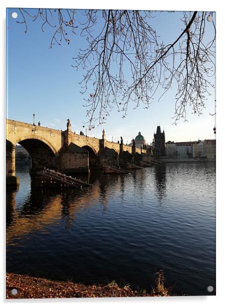 Charles bridge Acrylic by Kevin Croft