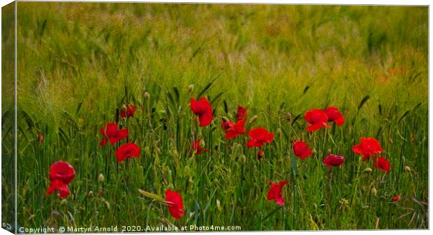 Poppies and Corn Canvas Print by Martyn Arnold