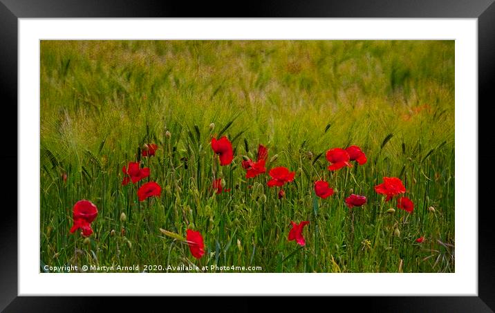 Poppies and Corn Framed Mounted Print by Martyn Arnold