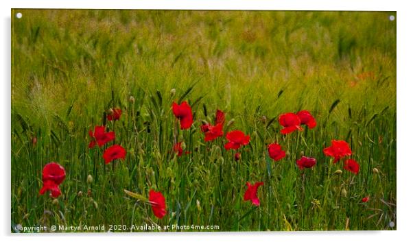 Poppies and Corn Acrylic by Martyn Arnold