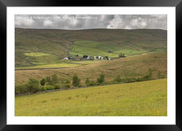 Marshes Gill Farm, Harwood, Upper Teesdale Framed Mounted Print by Richard Laidler
