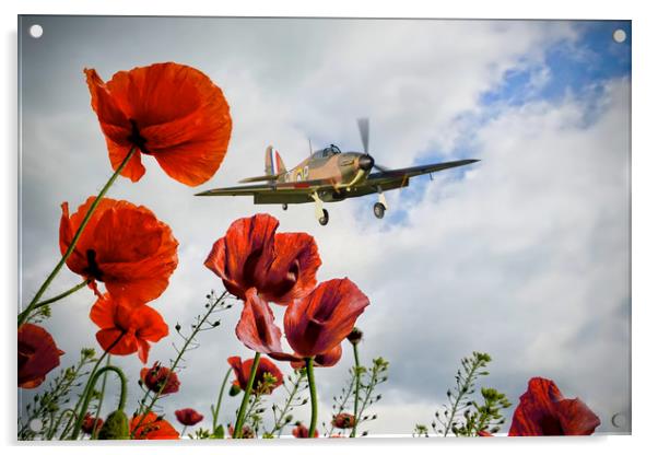 Hurricane Poppy Fly Past Acrylic by J Biggadike