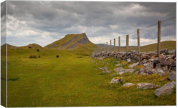 Cribbarth mountain in South Wales UK Canvas Print by Leighton Collins