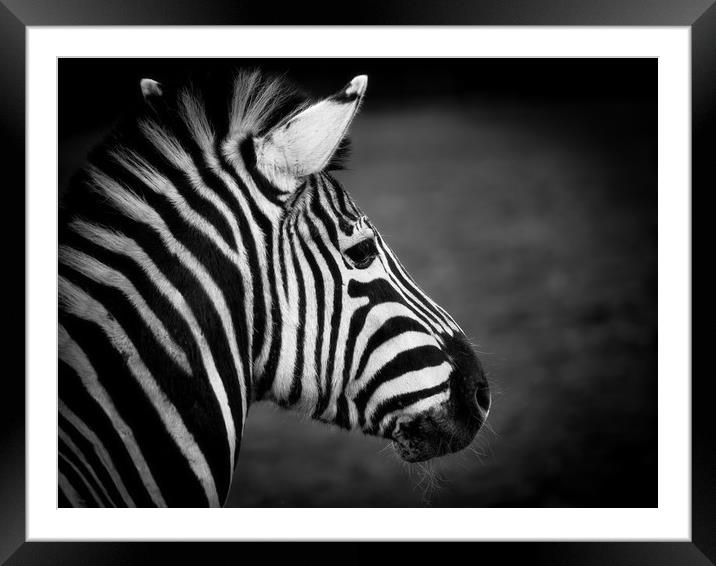 Black and White Framed Mounted Print by Mark Llewellyn
