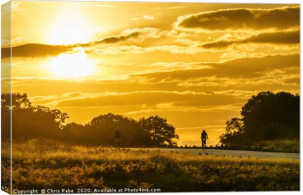 cyclists in richmond park Canvas Print by Chris Rabe