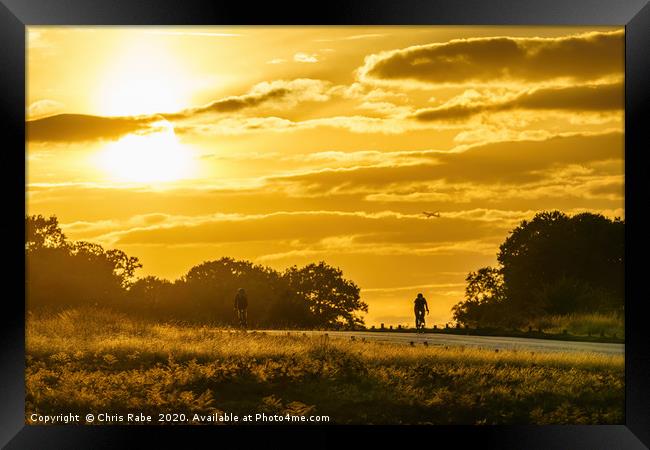 cyclists in richmond park Framed Print by Chris Rabe