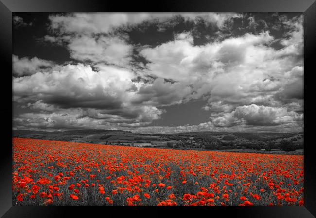 Poppy Field near Baslow,Derbyshire                 Framed Print by Darren Galpin
