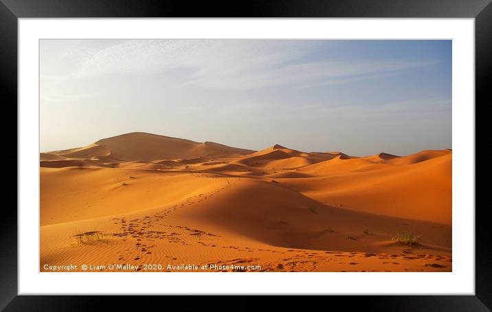 Red Saraha Sands Framed Mounted Print by Liam Neon