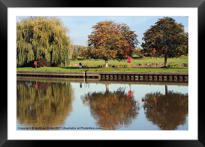 Trio of Thames Trees Framed Mounted Print by Matthew Bates