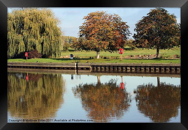 Trio of Thames Trees Framed Print by Matthew Bates