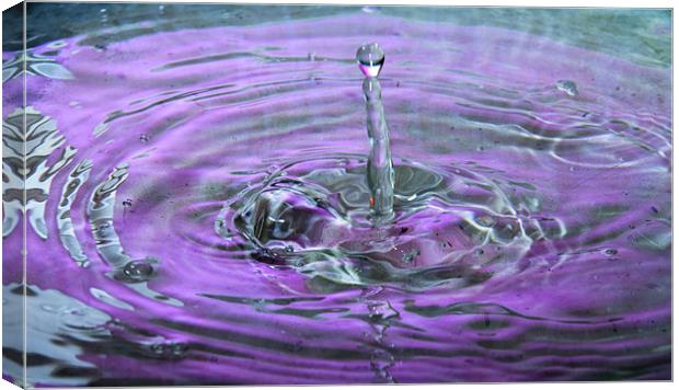 Splash water droplets  hdr Canvas Print by David French