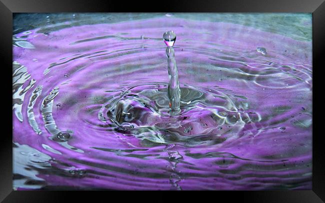 Splash water droplets  hdr Framed Print by David French