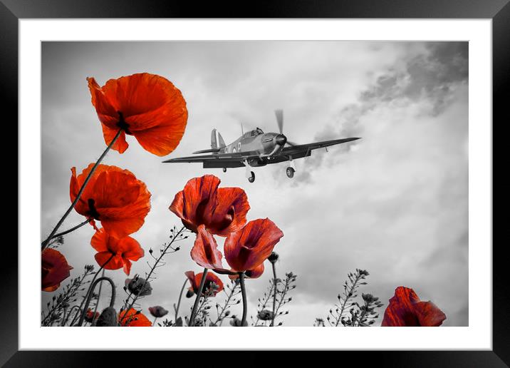 Hurricane Poppy Fly Past Red Framed Mounted Print by J Biggadike