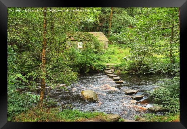 Stepping Stones across Hebden Beck Framed Print by Diana Mower