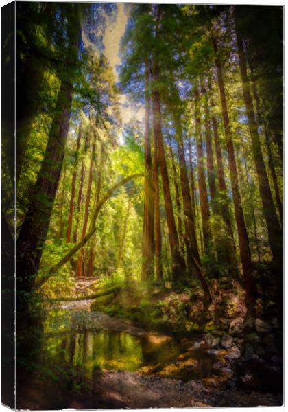 Painterly Sunlit Woodland Stream Canvas Print by Gareth Burge Photography
