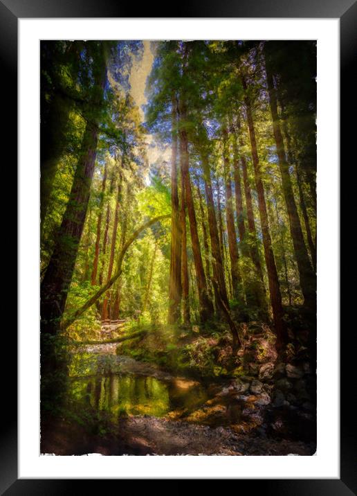 Painterly Sunlit Woodland Stream Framed Mounted Print by Gareth Burge Photography