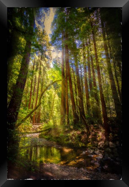 Painterly Sunlit Woodland Stream Framed Print by Gareth Burge Photography