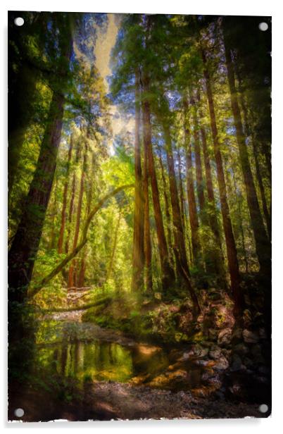 Painterly Sunlit Woodland Stream Acrylic by Gareth Burge Photography