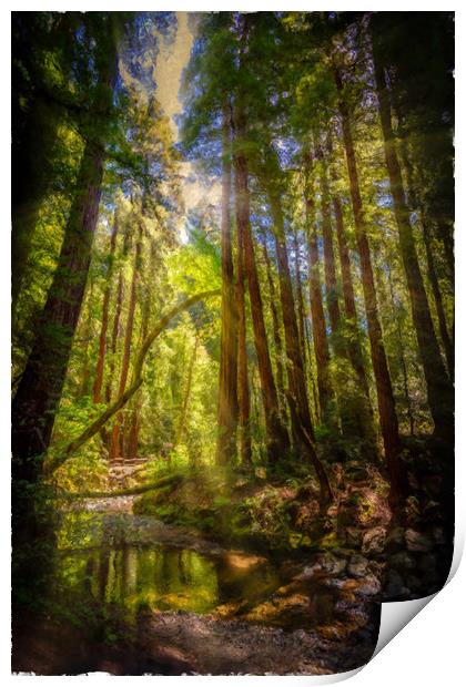 Painterly Sunlit Woodland Stream Print by Gareth Burge Photography