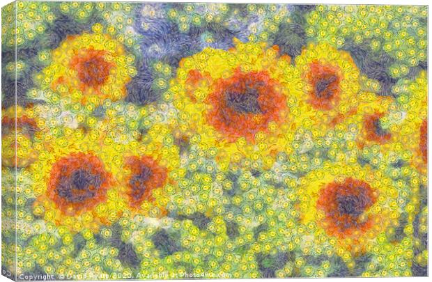Sunflowers Starry Night Canvas Print by David Pyatt