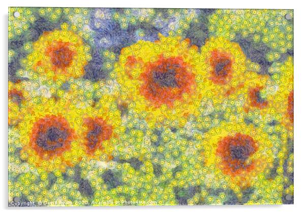 Sunflowers Starry Night Acrylic by David Pyatt