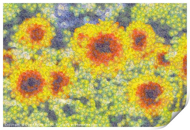 Sunflowers Starry Night Print by David Pyatt