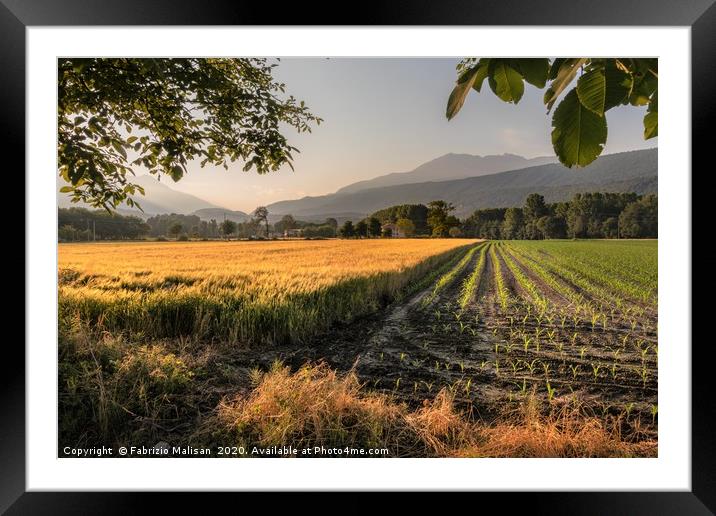 Sunset Light Over The Fields - Fabulous Outdoors @ Framed Mounted Print by Fabrizio Malisan