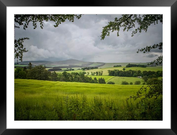 Aberdeenshire Landscape Framed Mounted Print by Colin Metcalf