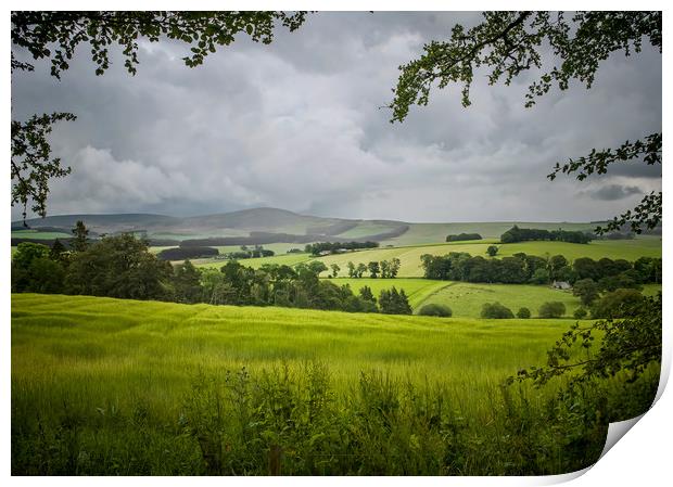 Aberdeenshire Landscape Print by Colin Metcalf