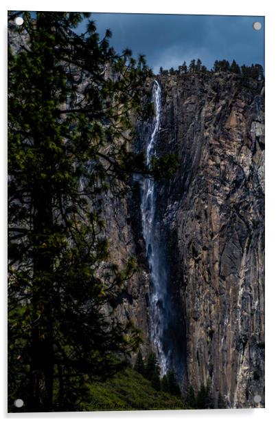 Yosemite Acrylic by Erin Bolas