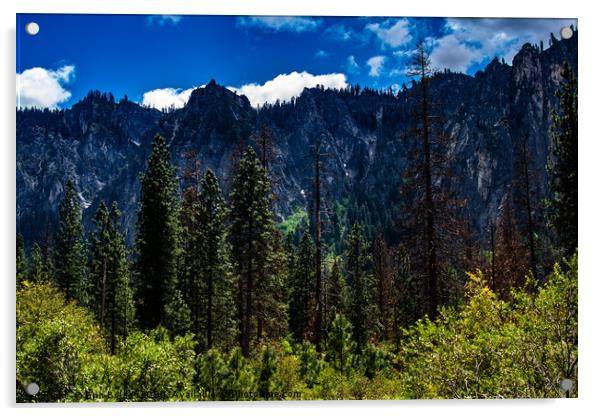 Yosemite Mountains Acrylic by Erin Bolas