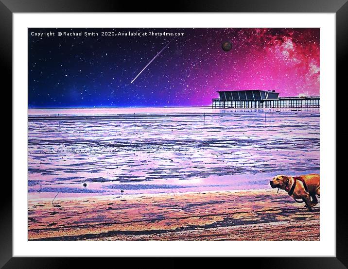 Labrador at the beach  Framed Mounted Print by Rachael Smith