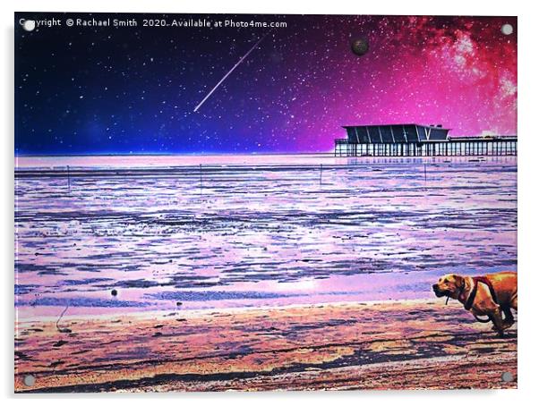 Labrador at the beach  Acrylic by Rachael Smith
