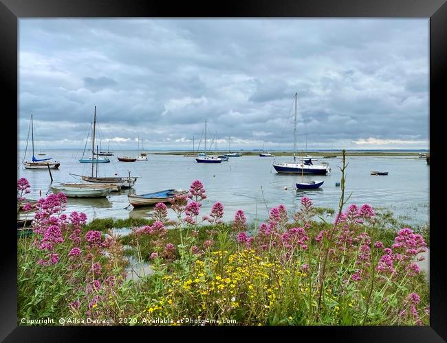  Boats in Old Leigh, Leigh on Sea Framed Print by Ailsa Darragh