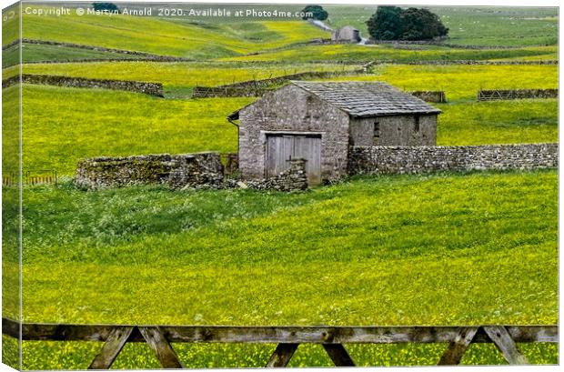 Yorkshire Dales Buttercup Fields Canvas Print by Martyn Arnold