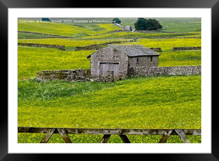 Yorkshire Dales Buttercup Fields Framed Mounted Print by Martyn Arnold