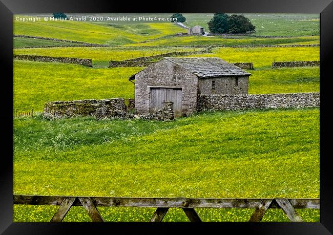 Yorkshire Dales Buttercup Fields Framed Print by Martyn Arnold