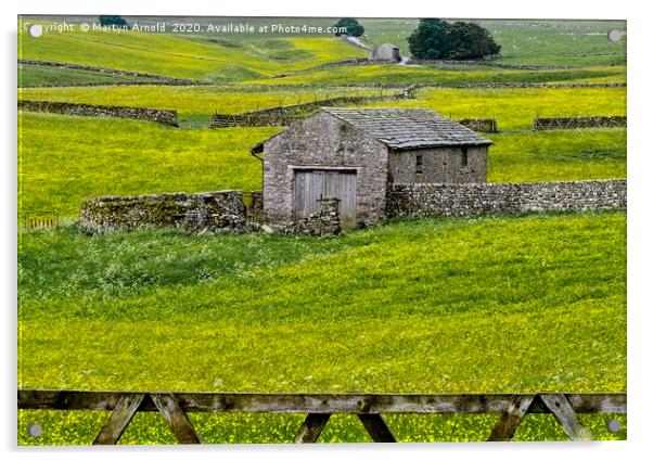 Yorkshire Dales Buttercup Fields Acrylic by Martyn Arnold