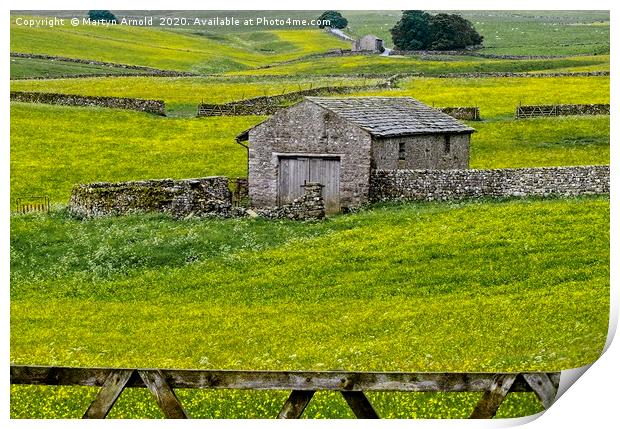 Yorkshire Dales Buttercup Fields Print by Martyn Arnold